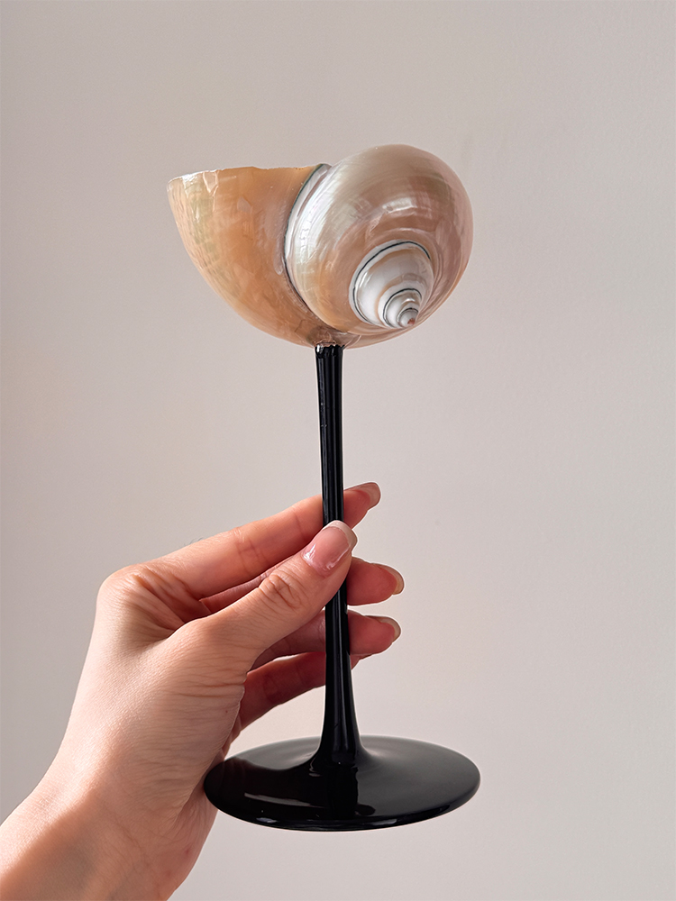 Natural Conch Shell Champagne  - Home Bar Set ulasan dan harga