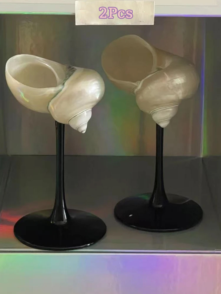 Natural Conch Shell Champagne  - Home Bar Set ulasan dan harga